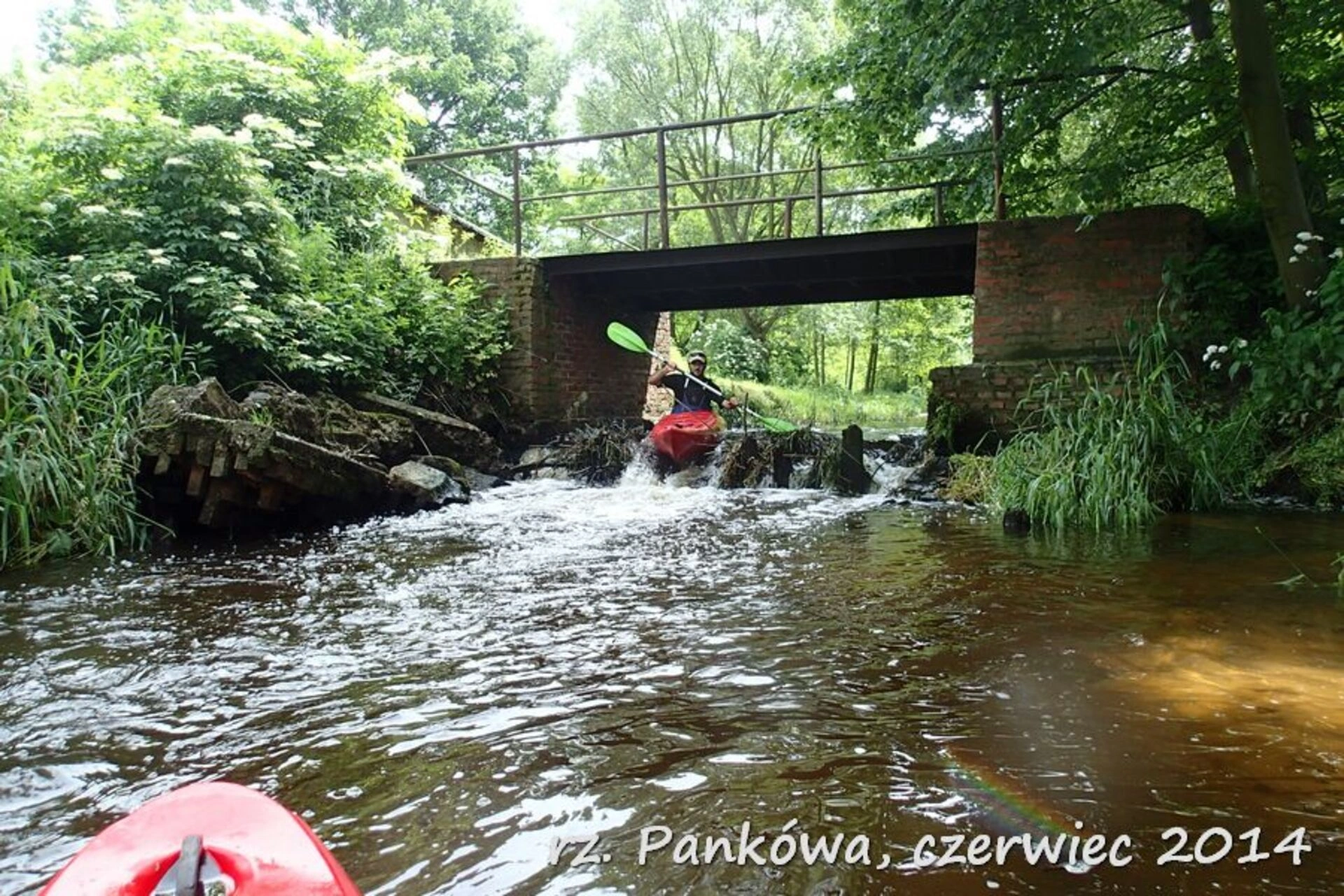 Kajaki Pankówka